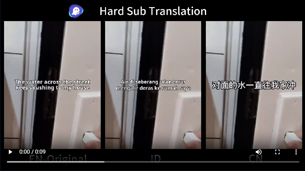 GhostCut - Hardcode Subtitles Translation